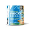 Reco BCAA'S + L-Glutamina 300 g. - ProCell ¡Envío Gratis!