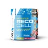 Reco BCAA'S + L-Glutamina 300 g. - ProCell ¡Envío Gratis!