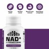 Nad+ & Pterostilbene 60 Vegecaps – Vitobest® - Frete grátis!