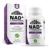 Nad+ & Pterostilbene 60 Vegecaps – Vitobest® - Frete grátis!