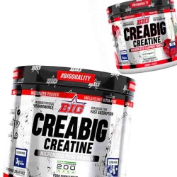 CreaBig 200mesh Creatina 250 grs - Big Suplements - Frete grátis!