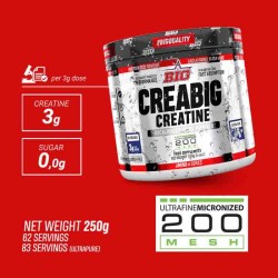 CreaBig 200mesh Creatina 250 grs - Big Suplements - Frete grátis!