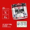 CreaBig 200mesh Creatina 250 grs - Big Suplements - Frete grátis!