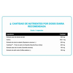 Diure Cut 90 caps - Big - Frete grátis!