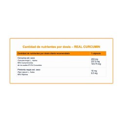 Real Curcumin 60 caps - BigScience - Frete grátis!