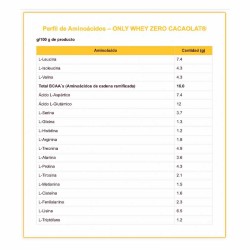 Only Whey Zero Cacaolat 1 Kg - Big - Frete grátis!