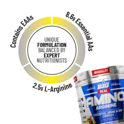 Real Amino Arginine 300 grs - Big Science - Frete grátis!