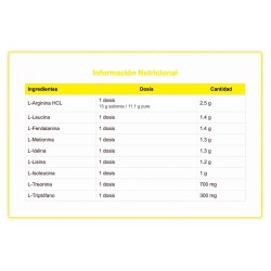 Real Amino Arginine 300 grs - Big Science - Frete grátis!