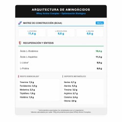 Whey Amino Complex (Sobres) caja 15 x 30 g - Vitobest Frete grátis!