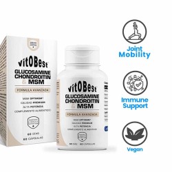 Glucosamine, Chondroitin & MSM 60 caps - Vitobest Frete grátis!