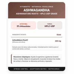 Ashwagandha 100 caps - Vitobest Frete grátis!