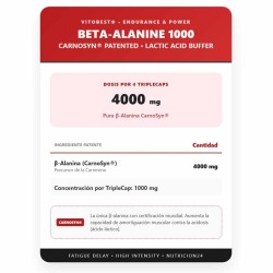 B-Alanine 1000 100 Triplecaps Beta Alanina - Vitobest Frete grátis!