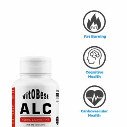 ALC Acetyl L-Carnitine 60 Vcaps - Vitobest Frete grátis!