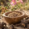 Bio Harpagófito 45 Caps - Vitobest ¡Envíos Gratis!