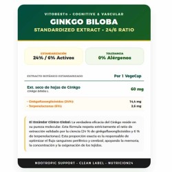 Ginkgo Biloba 60 caps - VitOBest Frete grátis!