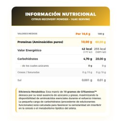 GFS Aminos Powder 500Gr - VitoBest Aminoacidos Frete grátis!