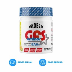 GFS Aminos Powder 500Gr - VitoBest Aminoacidos Frete grátis!