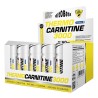 Thermo Carnitina 3000 - 20 Vials - Vitobest Frete grátis!