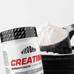Creatine (Creamag®) 500 g  - Vitobest ¡Envíos Gratis!
