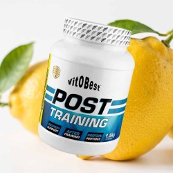Post training 1,5 kg - Vit0Best. ¡Envíos Gratis!