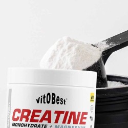 Creatine (Creamag®) 200 g - Vitobest  Frete grátis!