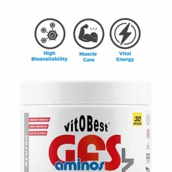 GFS Aminos Powder Natural 300Gr - VitoBest ¡Envíos Gratis!