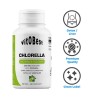 Chlorella 600 mg 60 Caps - VitOBest Frete grátis!