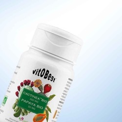Cactinea Bio & Papaya Bio 45 Vcaps - Vitobest ¡Envíos Gratis!