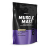 Muscle Mass 1000 g - vainilla - imagen oficial BioTechUSA