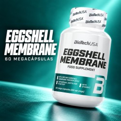Cápsulas Eggshell membrane 60 megacápsulas - BioTechUSA - composición de producto
