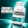 Cápsulas Eggshell membrane 60 megacápsulas - BioTechUSA - composición de producto