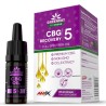 CBG Recovery 5% 10 ml Provegan GreenDay