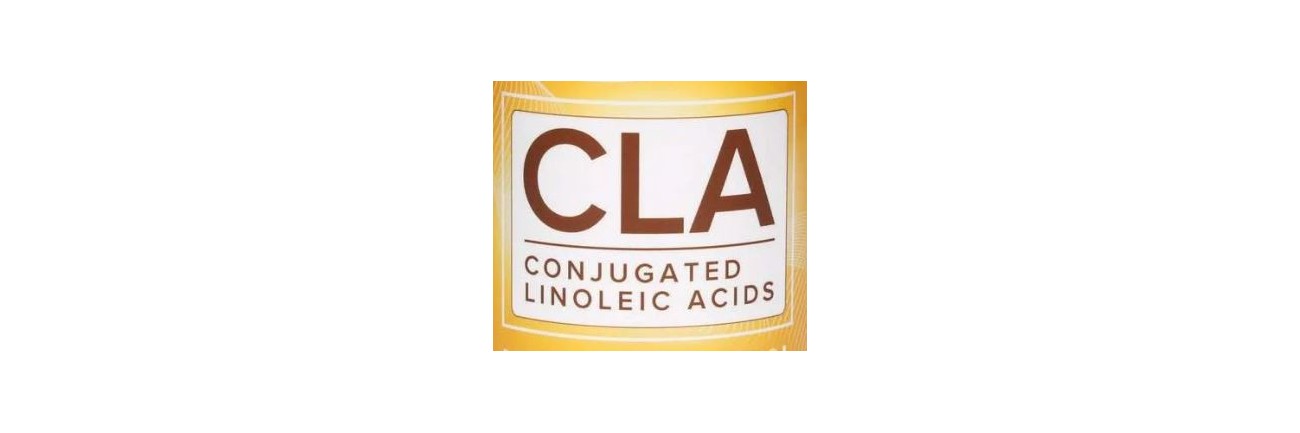 CLA - Queime Gordura e Modele o Corpo - Nutricion 24