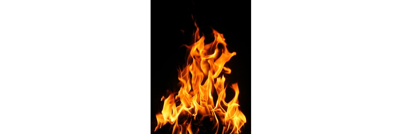 Termogénicos