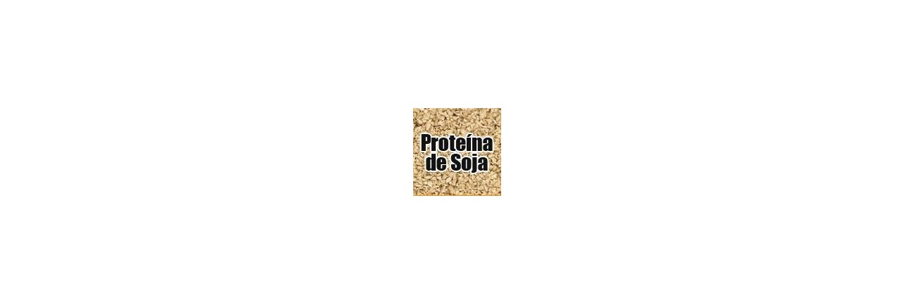 Proteína Vegetal