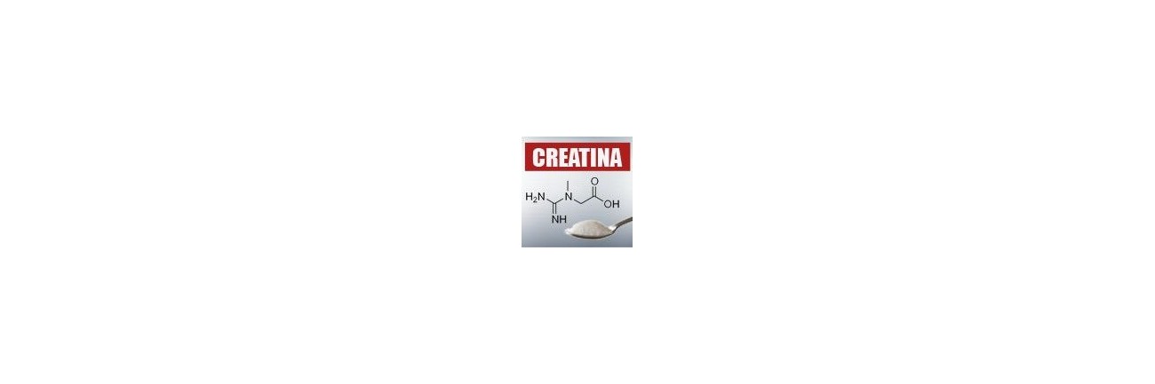 Monohydrate Creatine