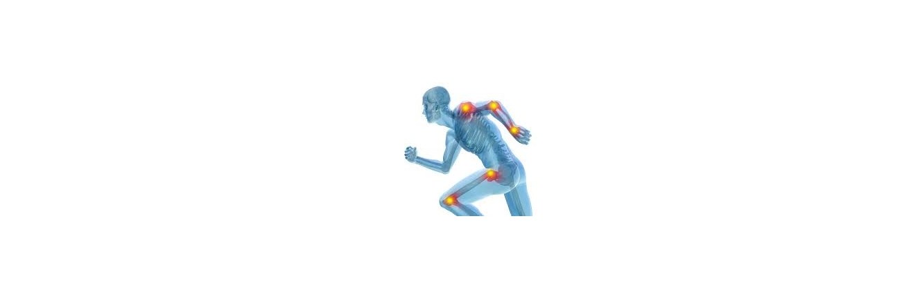 Salud Articular