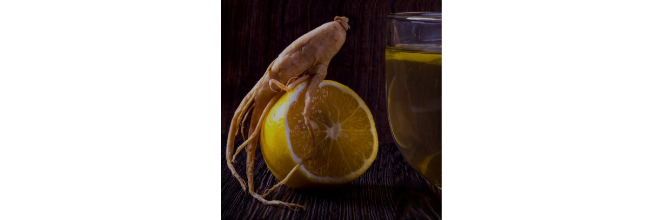 Estimulantes - Energia para Treino - Nutricion 24