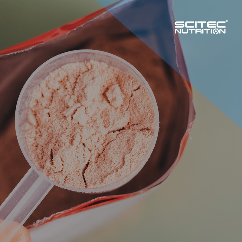 Outlet Scitec