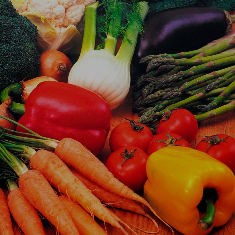 Proteína Vegetal