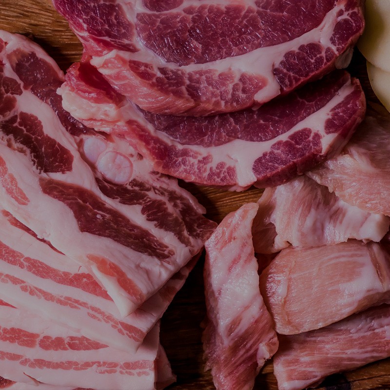 Proteína de Carne