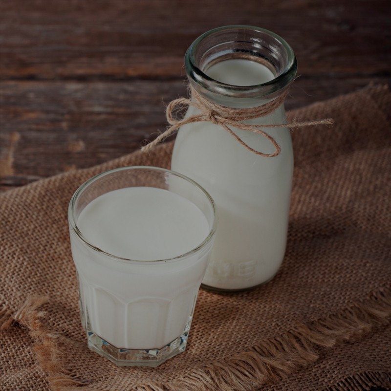 Proteína de Leche