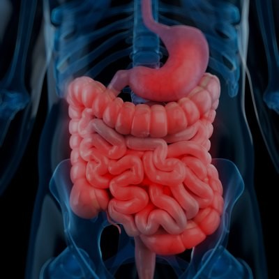 Salud Digestiva